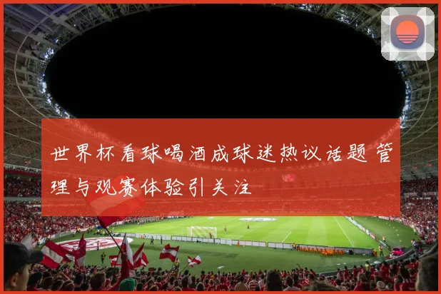 世界杯看球喝酒成球迷热议话题 管理与观赛体验引关注